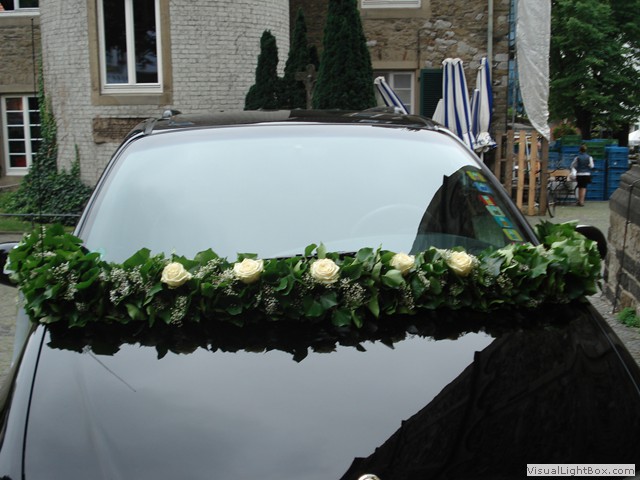 Exquisite Vintage Rose Blumen Auto Windschutzscheibe Sonnenschutz